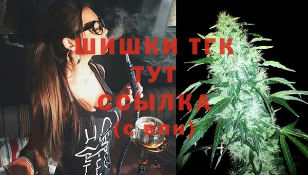 PSILOCYBIN Белокуриха