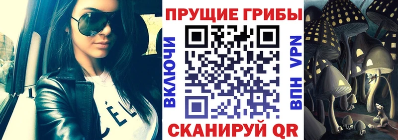 Купить где  Тулун  Галлюциногенные грибы GOLDEN TEACHER 